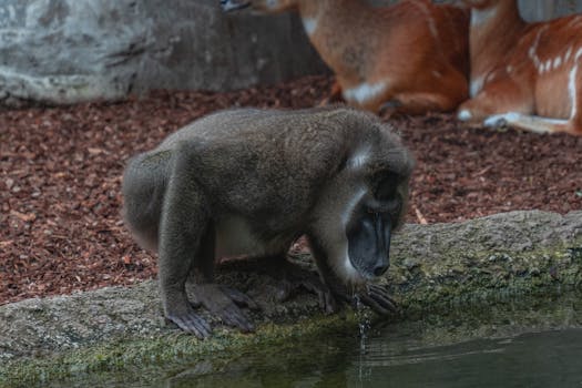 Rahoitus Ilman Luottotietoja: Miten Saada Lainaa Ja Pelikokemuksia