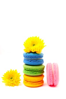 Handelsbanken Laina Ja Sen Käyttötarkoitukset Suomessa