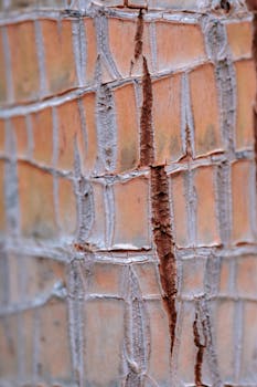 Cadoola Kotiutus Kesto: Kuinka Nopeasti Voit Saada Voittosi