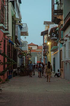 Pelikanen Fi Pasianssi: NÄIN PELAA PELIKONEITA FI-SAITILLA