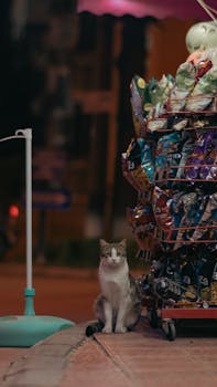 Asp Tili Yhdessä: Edut, Vaihtoehdot Ja Sopivat Tilanteet