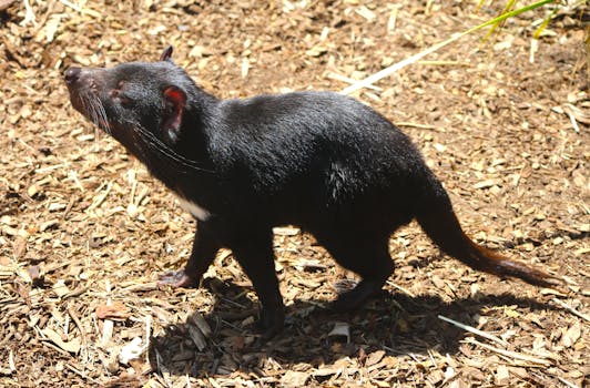 Eksklusiivinen Bonus: Parhaat Tarjoukset Kasinolla Ja Vedonlyönnissä 2026