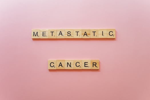 Ruletti Pelispedia: Säännöt, Pelit Ja Strategiat