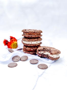 Parhaat Bonukset Ilman Kierrätystä: Hướng Guides Ja Vinkit Suomalaisille Pelaajille