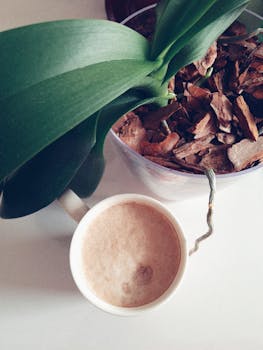 Parhaat 10 Kasinot Suomessa: Lista Ja Vertailu