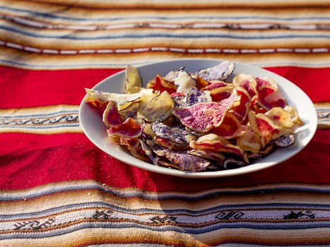 Suomenkieliset Netticasinot: Parhaat Vaihtoehdot Ja Ominaisuudet