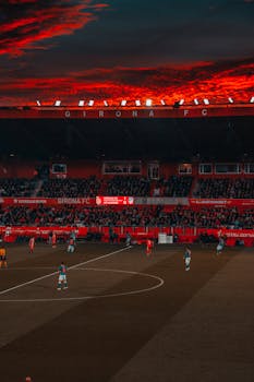 Online Kasino Pele - Parhaat Slotit Ja Kasinopelit Verkossa