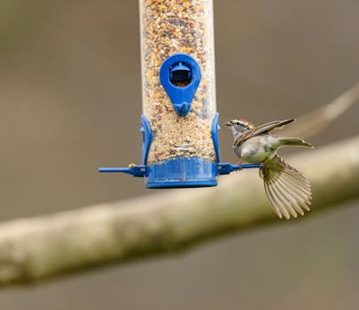 Rahoitusmahdollisuudet Www Nordearahoitus -sivustolla Ja Autolainoissa