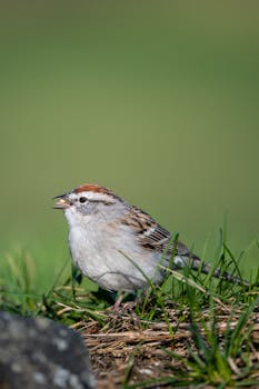 Lainaa 500 E – Helpoin Tapa Saada Pieni Laina Suomessa