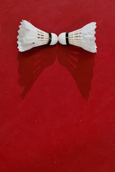 Pikavippi 0 Korko: Saavuta Edullista Lainaa Suomessa