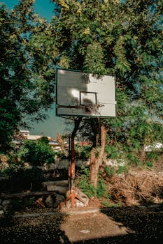 Siirto Kasinot: Opas Kasinopelaamisen Ja Rahansiirtojen Tehokkaaseen Hallintaan