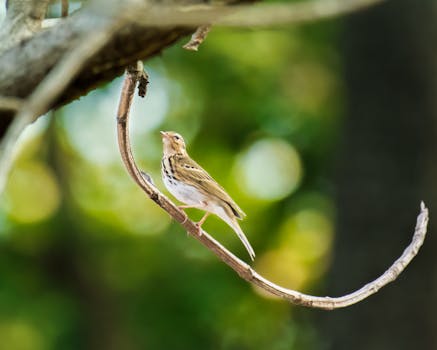 Nordea Pankkilaina Ja Sen Tarjoamat Lainavaihtoehdot Suomessa