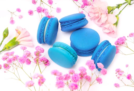 Kirjasto Omat Lainat: Ohjeet Ja Prosessit Suomenkielisissä Kirjastoissa