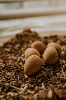 Pikalaina Luottohäiriöiselle: Mahdollisuudet Ja Riskit