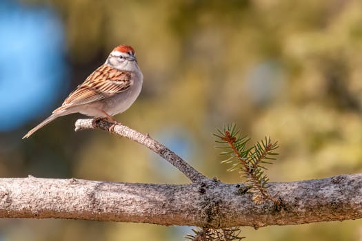 Sijoituslaina Verovähennys: Ohjeet Ja Mahdollisuudet Suomessa