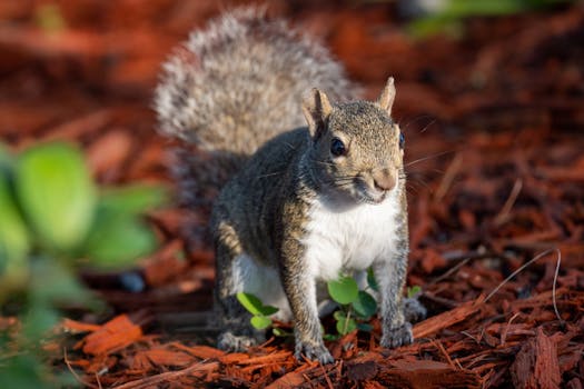 7signs Kokemuksia: Arvostelut Ja Käyttäjäkokemukset