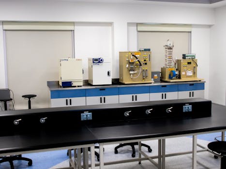 Leijonalaina: Tietoa Ja Vaihtoehtoja Rahasijojen Hallintaan