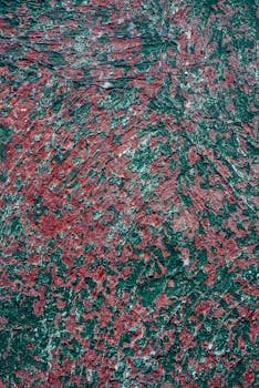 Nettipokeri Macomb - Verkkopokerin Ja Kasinon Mahdollisuudet Suomessa