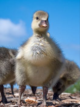 Kasinoiden Ilmaiskierrokset Ilman Talletusta 2026: Parhaat Tarjoukset Ja Vinkit