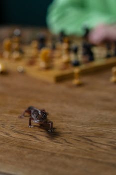 Kasino Ilman Tunnuksia: Pelitavat Ja Bonukset Ilman Rekisteröitymistä