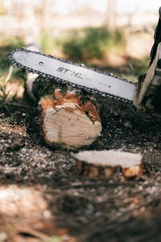 Takuusäätiö Sosiaalinen Luotto Ja Sen Merkitys Velkaantumisessa