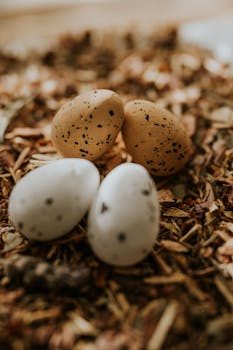 Nettipokeri Mackinac: Parhaat Strategic Ja Pelimekanismit