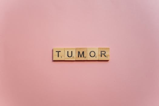 Luottotietoraportti Ilmaiseksi: Miten Ja Mistä Voit Tarkistaa Luottotietosi Suomessa