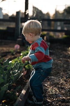 Toiminimi Lainan Saanti: Ohjeet Ja Vaatimukset Yrittäjille