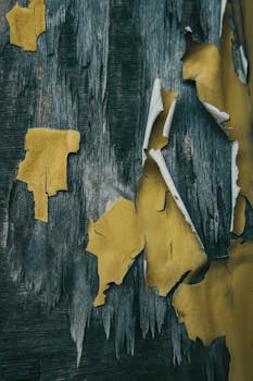 Etua Fi Lainalaskuri: Lainat, Lainaehdot Ja Kuukausierät