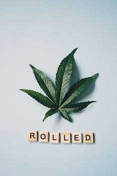 Poker O - Suomalainen Oppaasta Ja Pelimahdollisuuksista