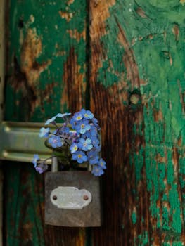 Kasinoita: Opas Suomalaisille Pelaajille Ja Kasinoiden Valintaan