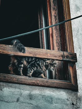 Asp Tilin Siirto Toiseen Pankkiin Kesto