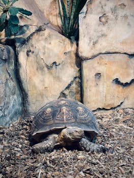 Uusin Kasino Ilman Tiliä: Nopea Ja Turvallinen Pelaaminen Suomalaisille