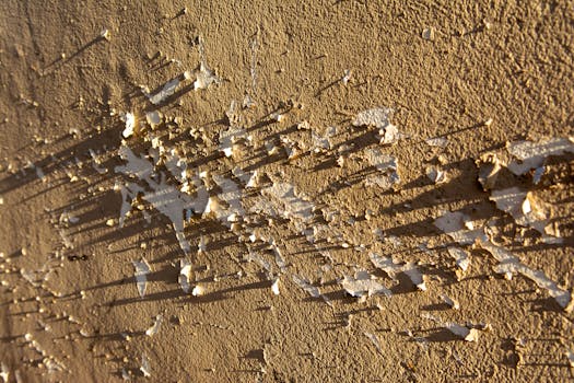 Svea Rahoitus Auto: Autolainat Ja Rahoitusratkaisut Suomessa